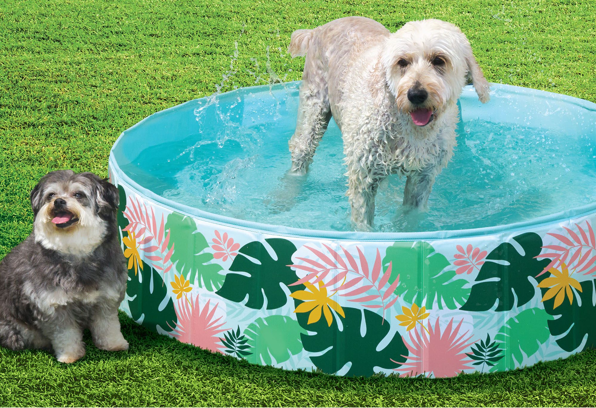 MCHWebsite_Pool Photography_Finalsetup